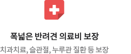 폭넓은 반려견 의료비 보장 치과치료, 슬관절, 누루관 질환 등 보장